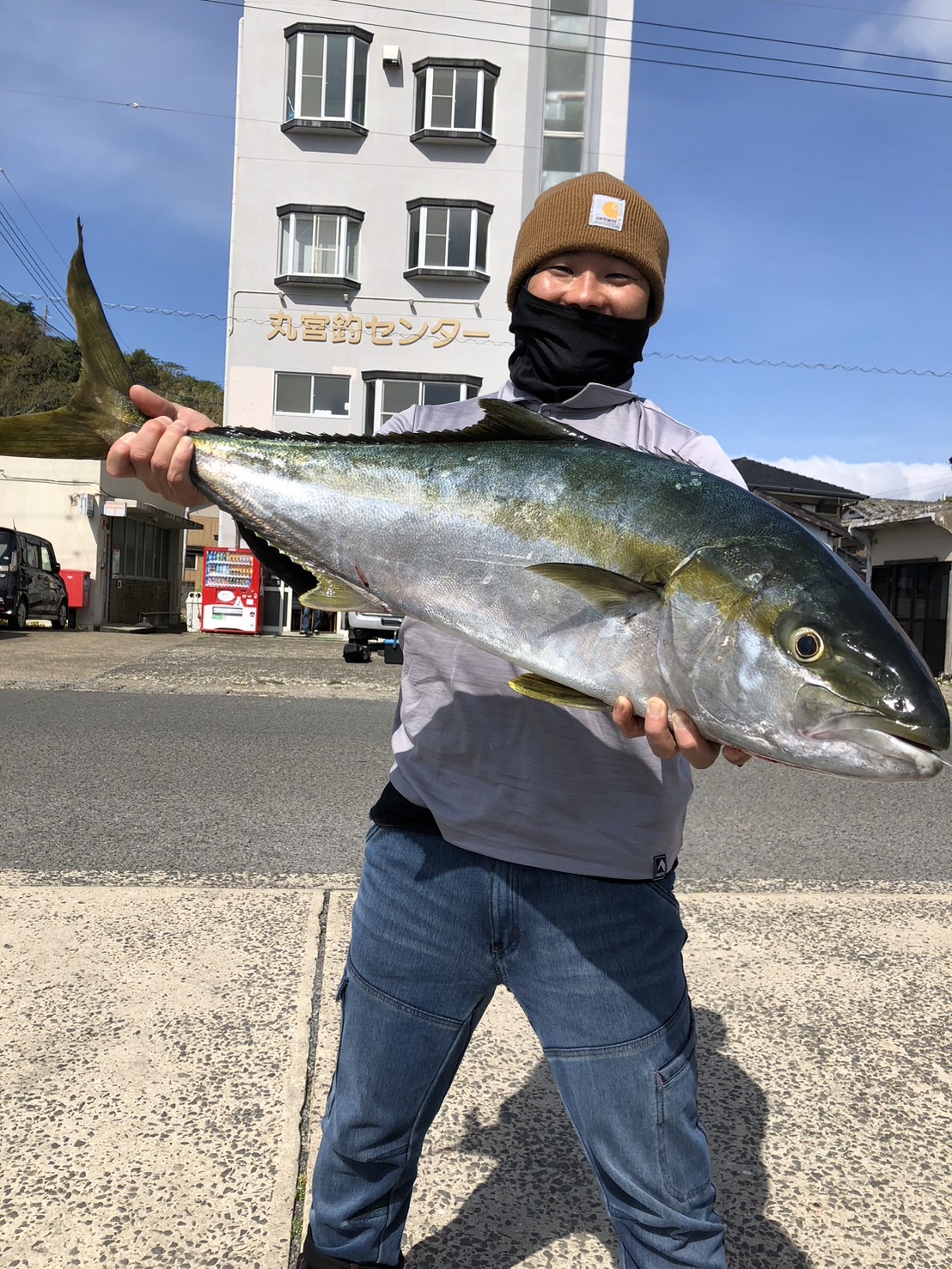 q}T8.3kg