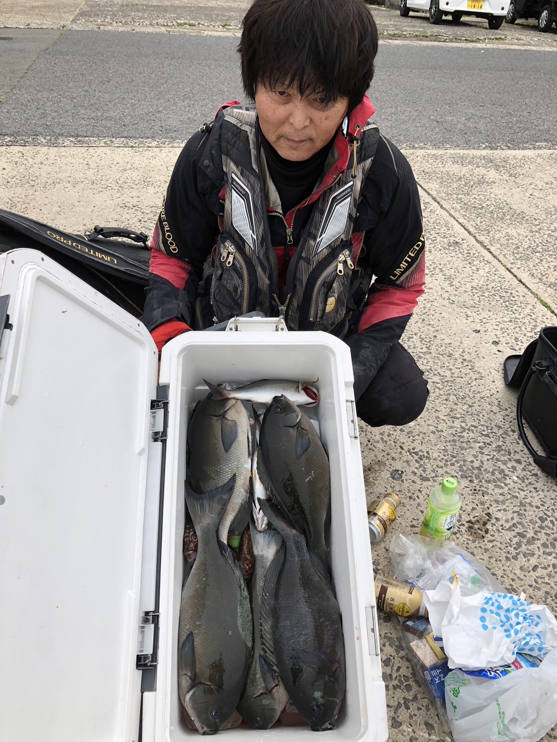 N42cm