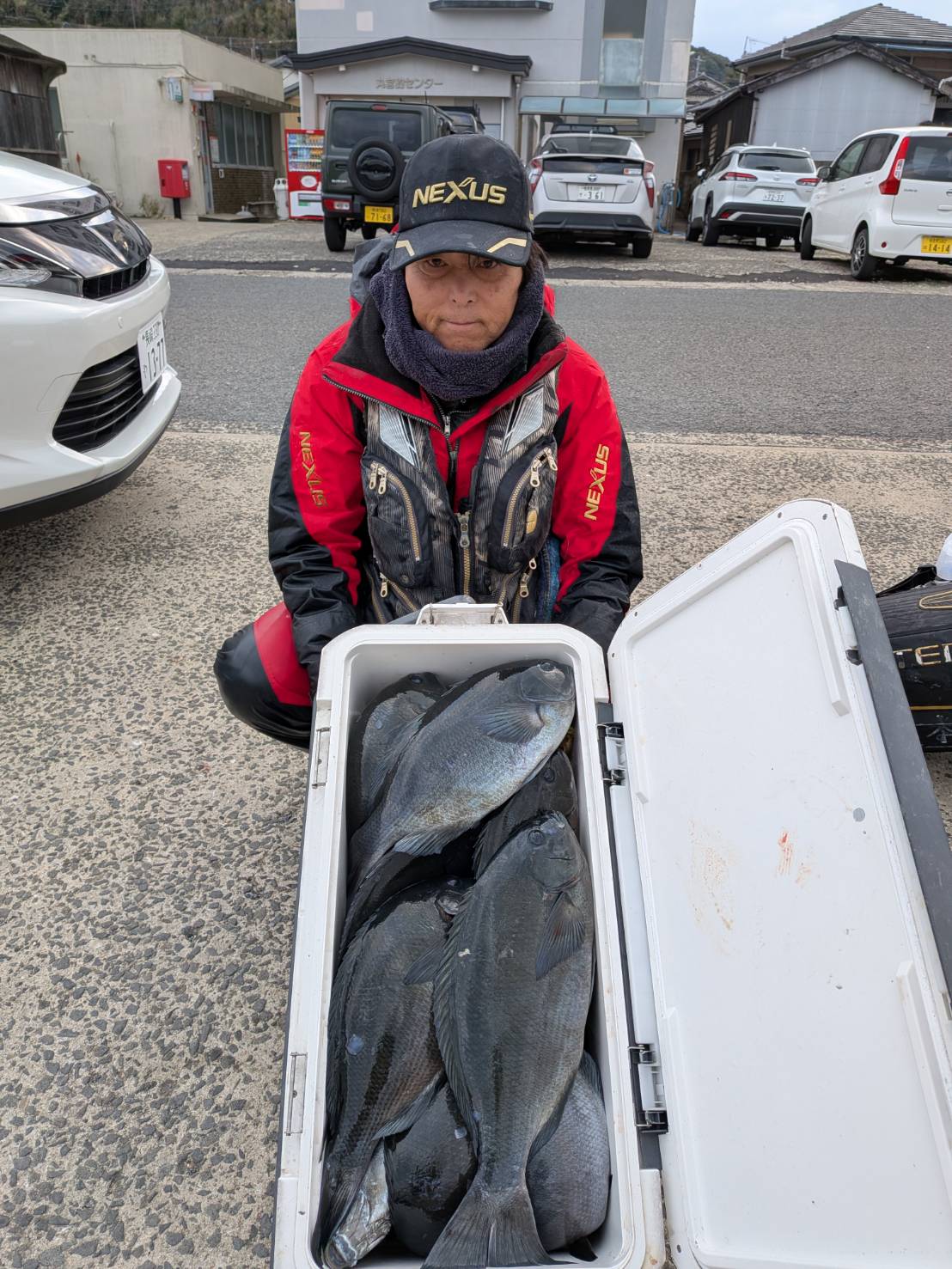 �N��47����