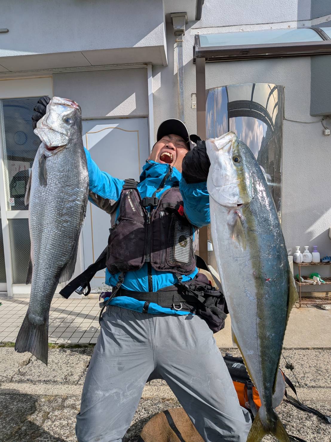 �q���X�Y�L