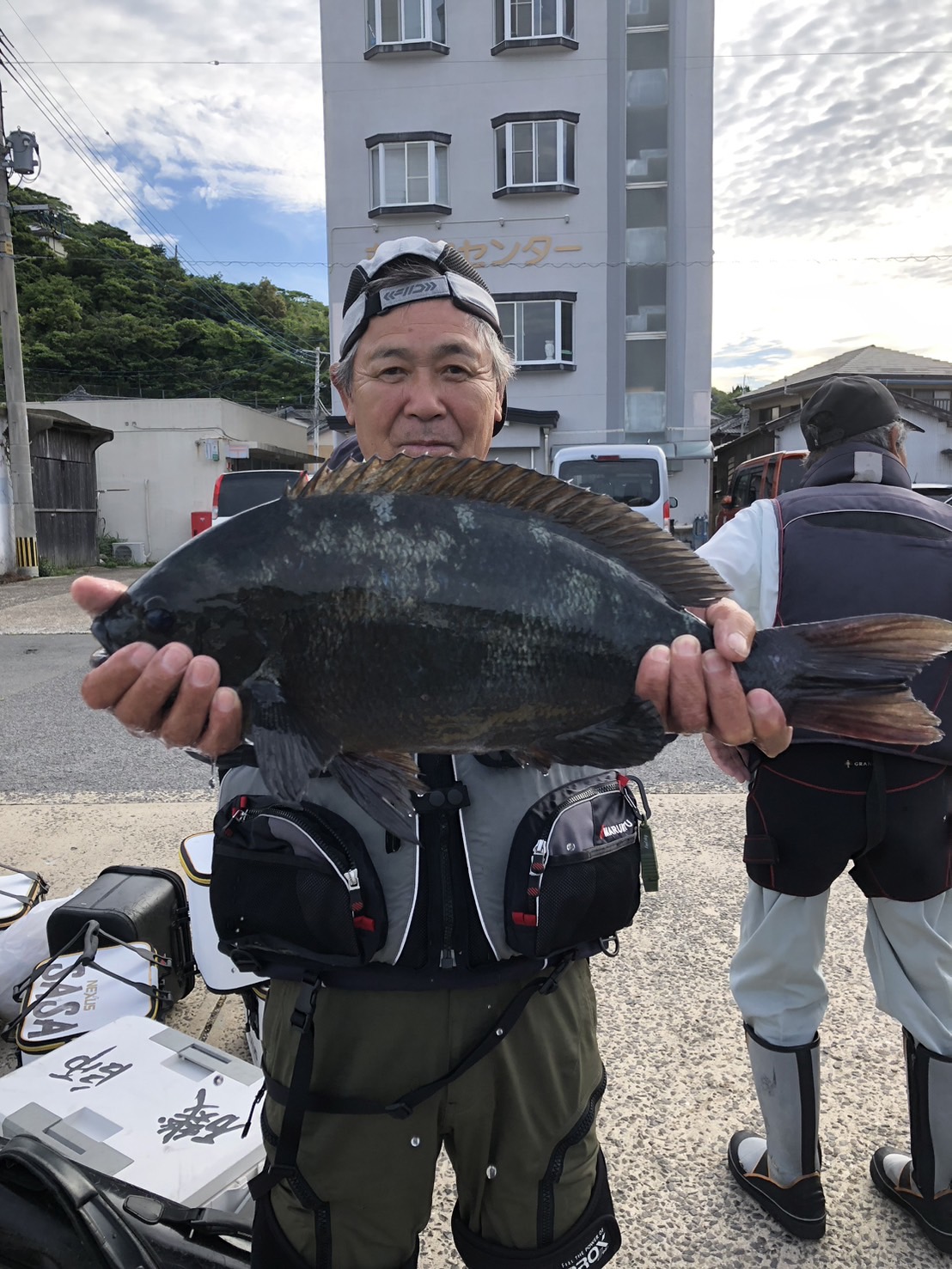 N49cm