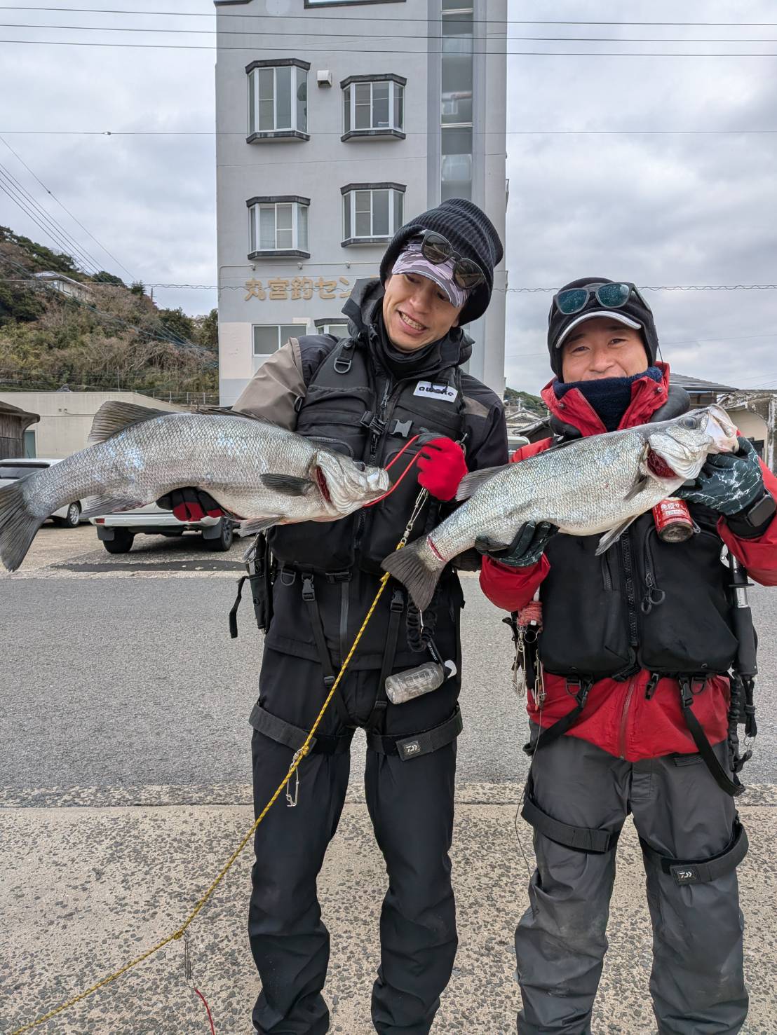 �q���X�Y�L